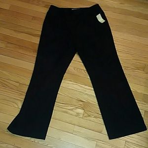 Josephine Chaus Pants